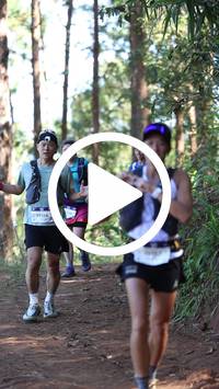 BIB:  <button type="button" onclick="openModal(26568282)" class="btn btn-primary btn-sm float-right" data-toggle="modal" data-target=".modal-high-quality">
                <i class="fa fa-download"></i> Download
                </button>